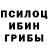 Галлюциногенные грибы Cubensis shishan shashan