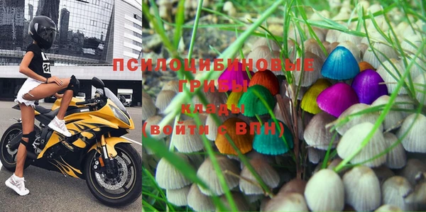 мдпв Абинск