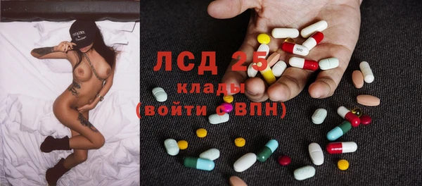 ГАЛЛЮЦИНОГЕННЫЕ ГРИБЫ Семёнов
