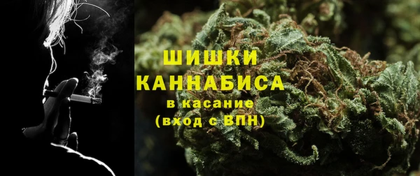 ГАЛЛЮЦИНОГЕННЫЕ ГРИБЫ Семёнов