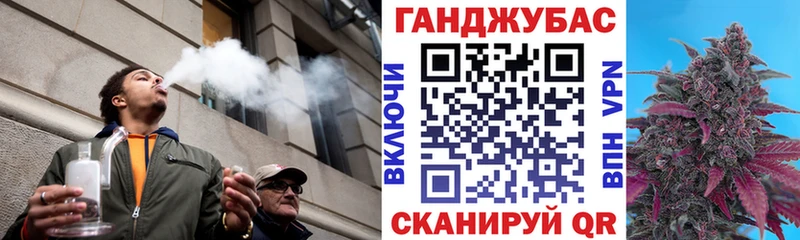Канабис гибрид  Кедровый 